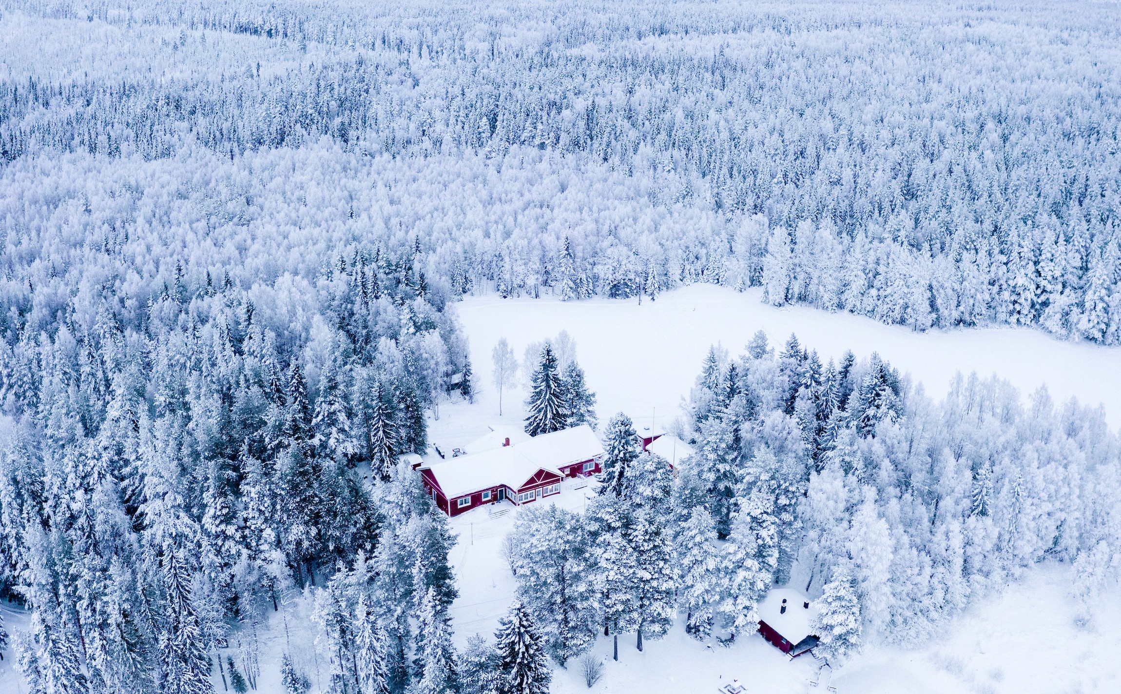 Pine Bay Lodge in Swedish Lapland in winter