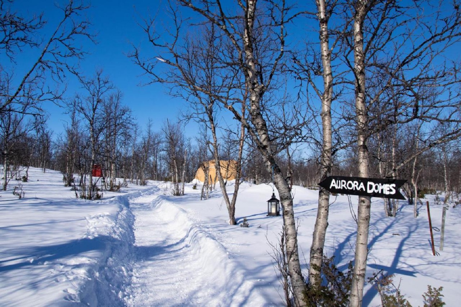 Snowy path leading to the Aurora Domes in Swedish Lapland